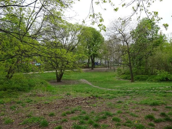 Foto Rasenflächen mit Bäumen