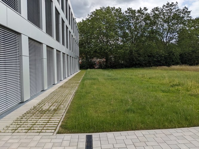 Außenfläche Grundschule