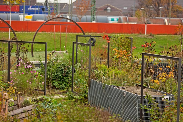 Hochbeete im Campus Efeuweg