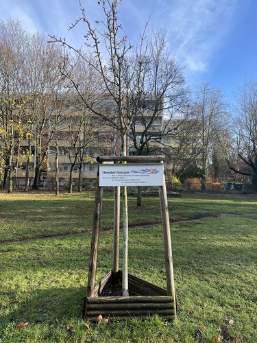 Birnbaum als Erinnerung an Theodor Fontane