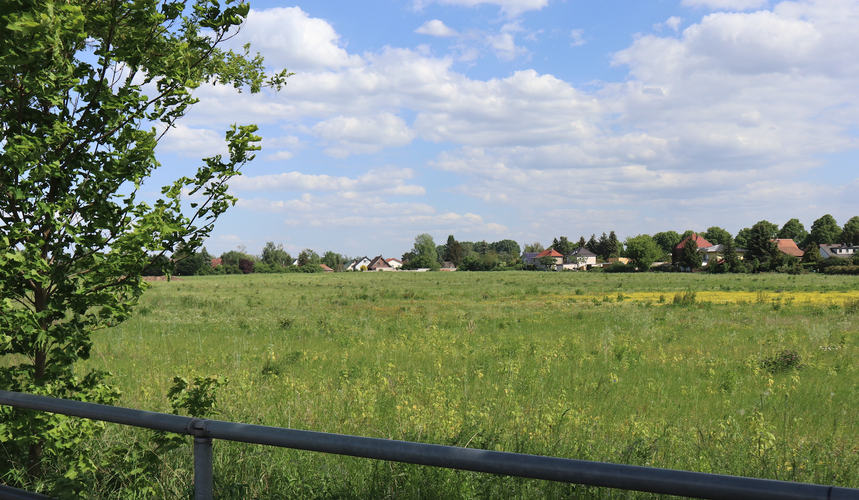 Grünfläche in Blankenburg