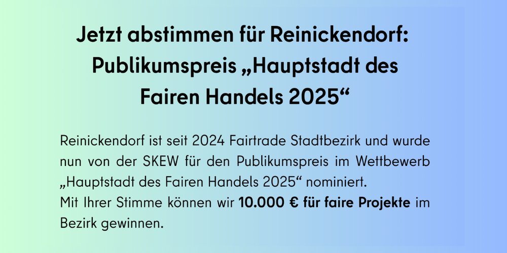 Flyer "Jetzt abstimmen für Reinickendorf"