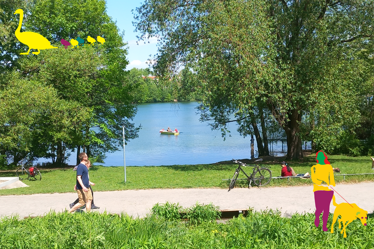 Uferabschnitt des Weißen Sees im Sommer