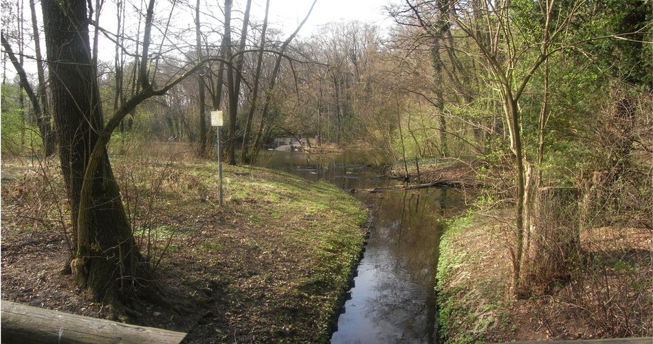 Mündung des Packereigrabens in den Steinbergsee