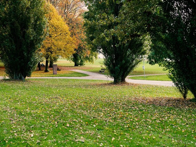 Park mit Bäumen