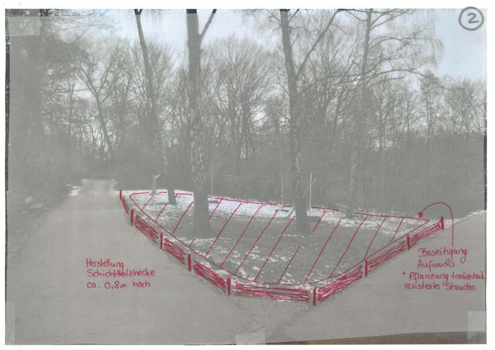 Foto einer Grünfläche mit einer Ideenskizze überlagert
