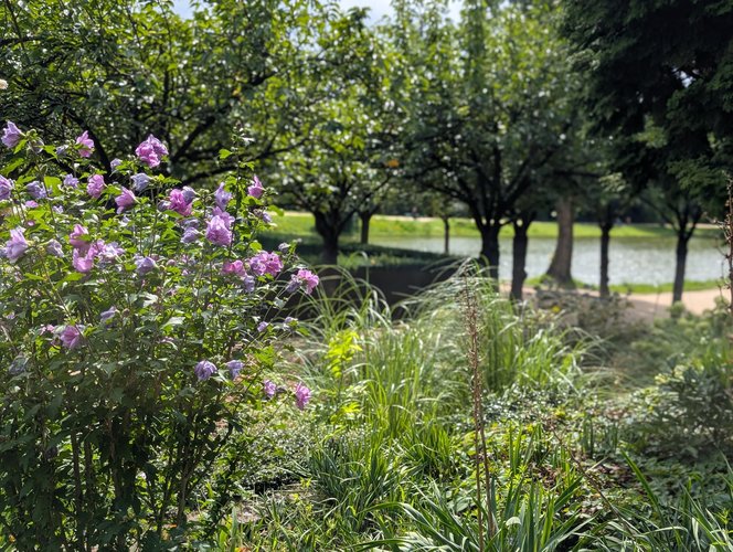 Ansicht Volkspark Mariendorf