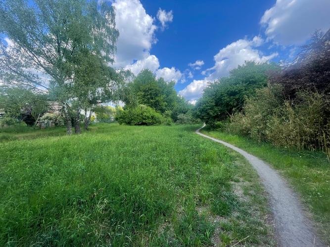 Foto von Wiese mit Trampelpfad