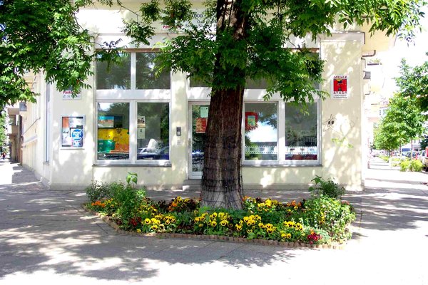 Vorplatz Quartiersmanagement Büro mit großem Baum in der Mitte