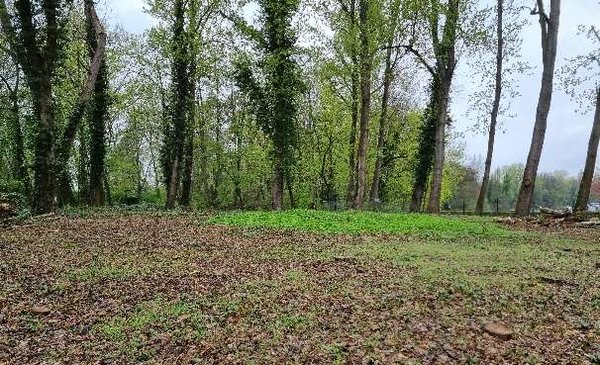 Gerodete Fläche für den Spielplatzneubau