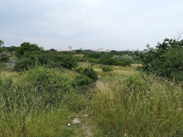 Blick aus dem Landschaftsplangebiet