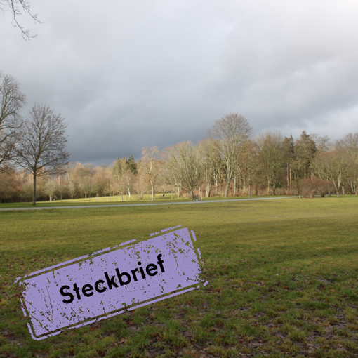 Eine Wiese im Park Hasenheide mit dem Hinweis Steckbrief