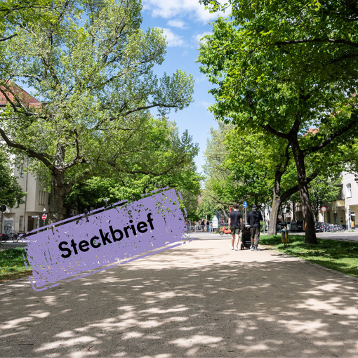 eine von Bäumen gesäumte Promenade auf der zwei Menschen einen Kinderwagen schie