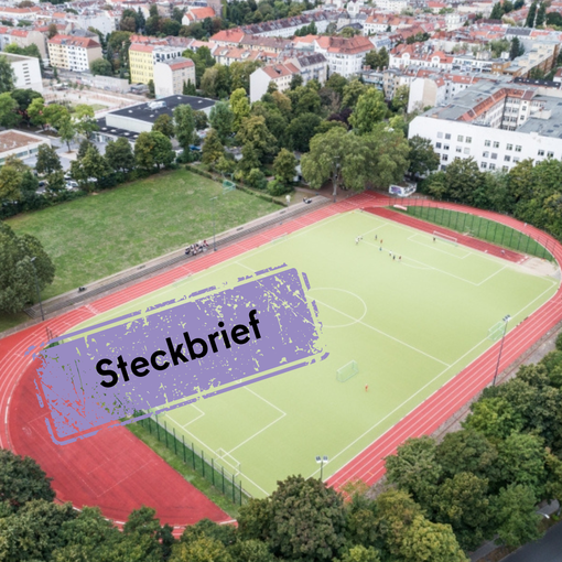 Sportplatz umgeben von Bäumen und Häusern im Hintergrund
