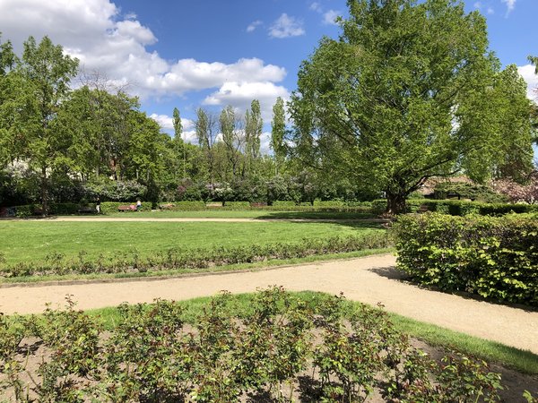 Blick auf den Rosengarten