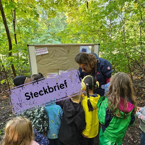 Kinder vor einer Stellwand im Wald im Vogelwäldchen