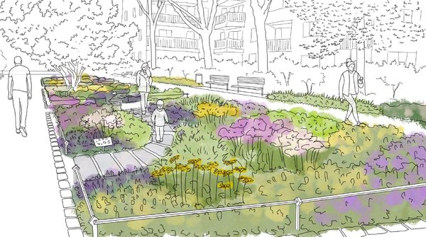 Skizze Lehrpfad durch Blumenbeet