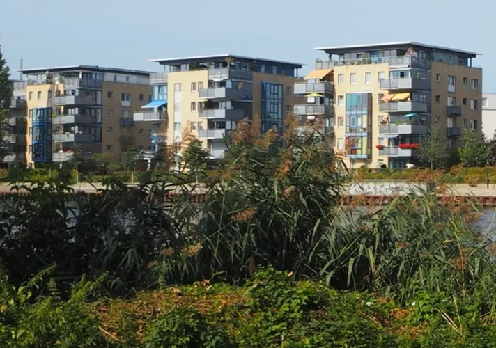 Mehr Informationen über Strategisches Konzept zur Landschafts- und Freiraumentwicklung Treptow-Köpenick (Strategie Grün)