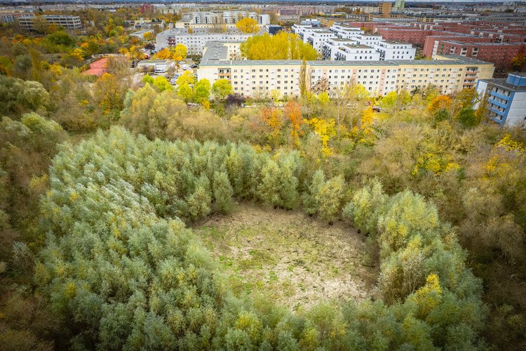 Mehr Informationen über Kiez-Spaziergang: Neues Wasser für den Beerenpfuhl!