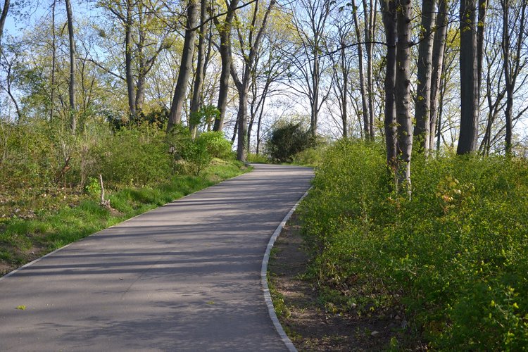 Mehr Informationen über Niederschlagswassermanagement im Fritz-Schloß-Park