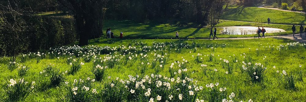 Mehr Informationen über Handlungsprogramm Berliner Stadtgrün 2030