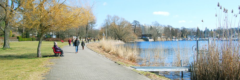 Mehr Informationen über Umfrage Scharfe Lanke