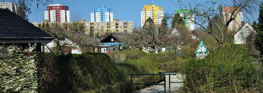 Mehr Informationen über Umfrage zum "Grünen Ring"