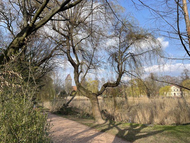 Mehr Informationen über Sanierung des Dorfteichs Lichtenrade