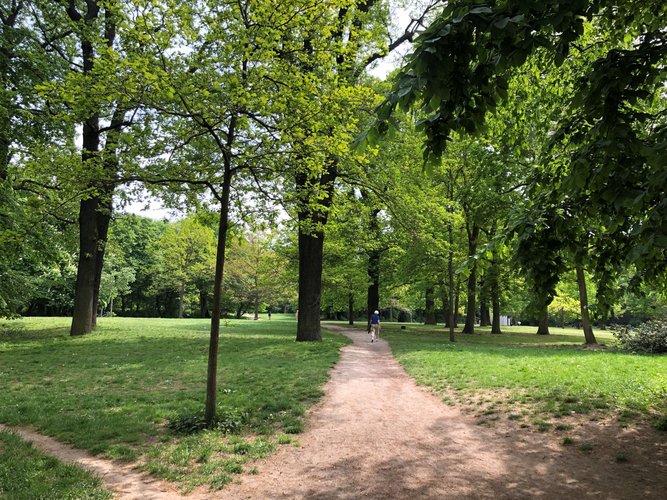Mehr Informationen über Klimaresiliente Hasenheide