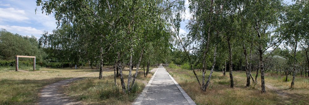 Mehr Informationen über Qualifizierung alter Mauerpark