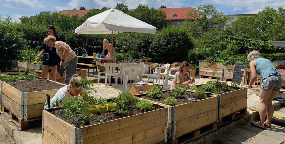 Mehr Informationen über Entstehung des Gemeinschaftsgartens Hanggarten (KGA Hohenzollerndamm)