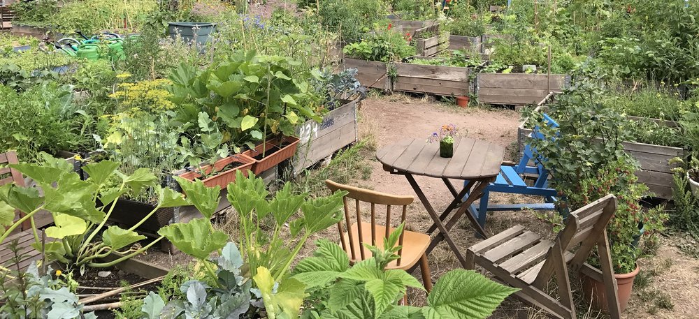 Mehr Informationen über Plattform Produktives Stadtgrün – Gemeinschaftsgärtnern