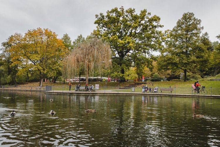 Mehr Informationen über Klimaschutz- und Klimaanpassungskonzept