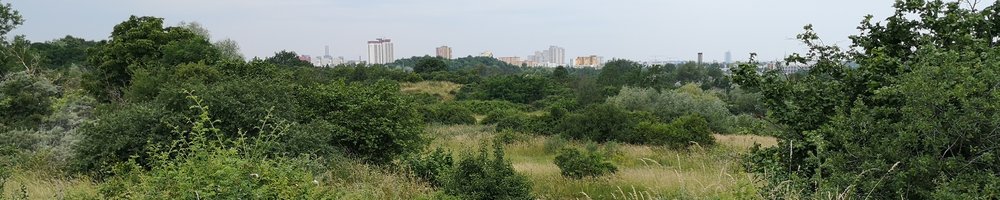 Mehr Informationen über Landschaftsplan 7-L-6 "Landschaftspark Marienfelde"