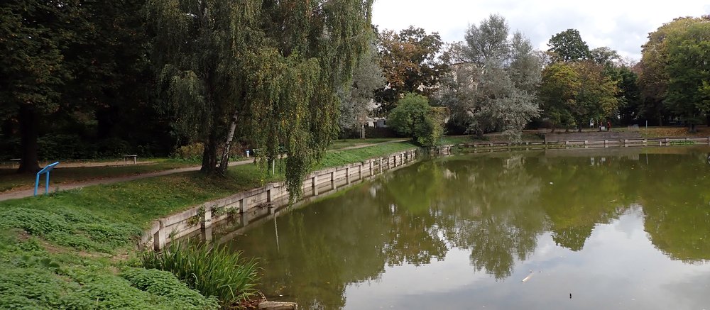 Mehr Informationen über Sanierung und Renaturierung des Wilhelmsruher Sees