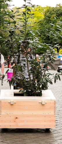 Mehr Informationen über Pop Up Wald