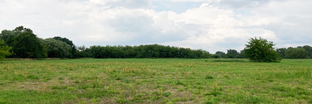Mehr Informationen über Städtebaulicher nicht offener Ideen- und Realisierungswettbewerb "Ludwig-Quidde-Straße" in Berlin-Pankow