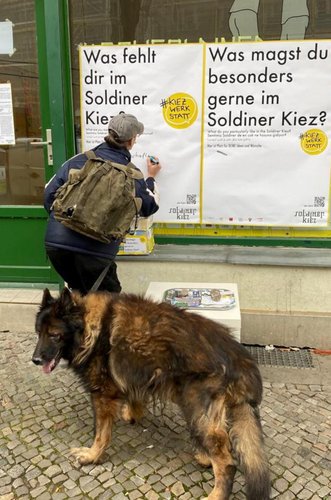 Mehr Informationen über Demokratie und Dialog machen auch in Pandemiezeiten keine Pause!