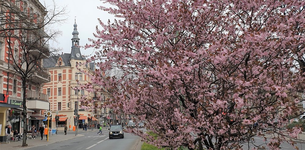 Mehr Informationen über Umfrage zur Verbesserung der Aufenthaltsqualitäten im Ortsteilzentrum Rheinstraße/Bundesallee