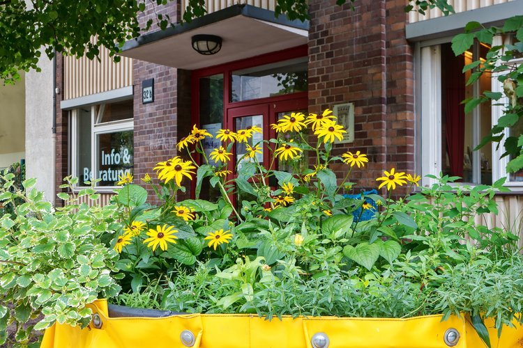 Mehr Informationen über Stadtteilkasse Moabit-Ost - für mehr Engagement