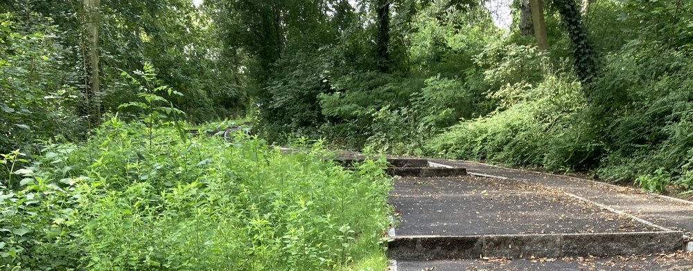 Mehr Informationen über Biodiversität im Fritz-Schloß-Park