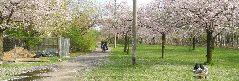 Mehr Informationen über Ihr Rückzugsort in der Stadt - Beschreiben Sie uns Ihre städtischen Ruheorte!
