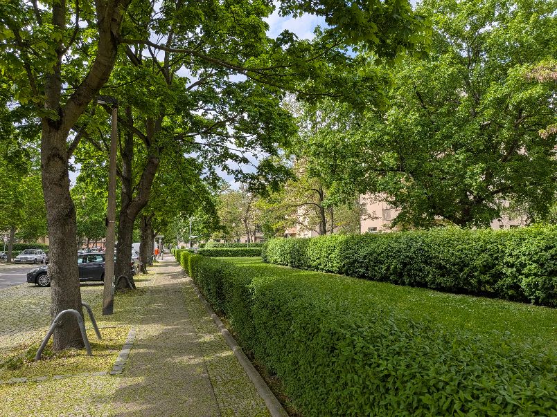 Bild auf die Freifläche bei der Erich-Weinert-Straße