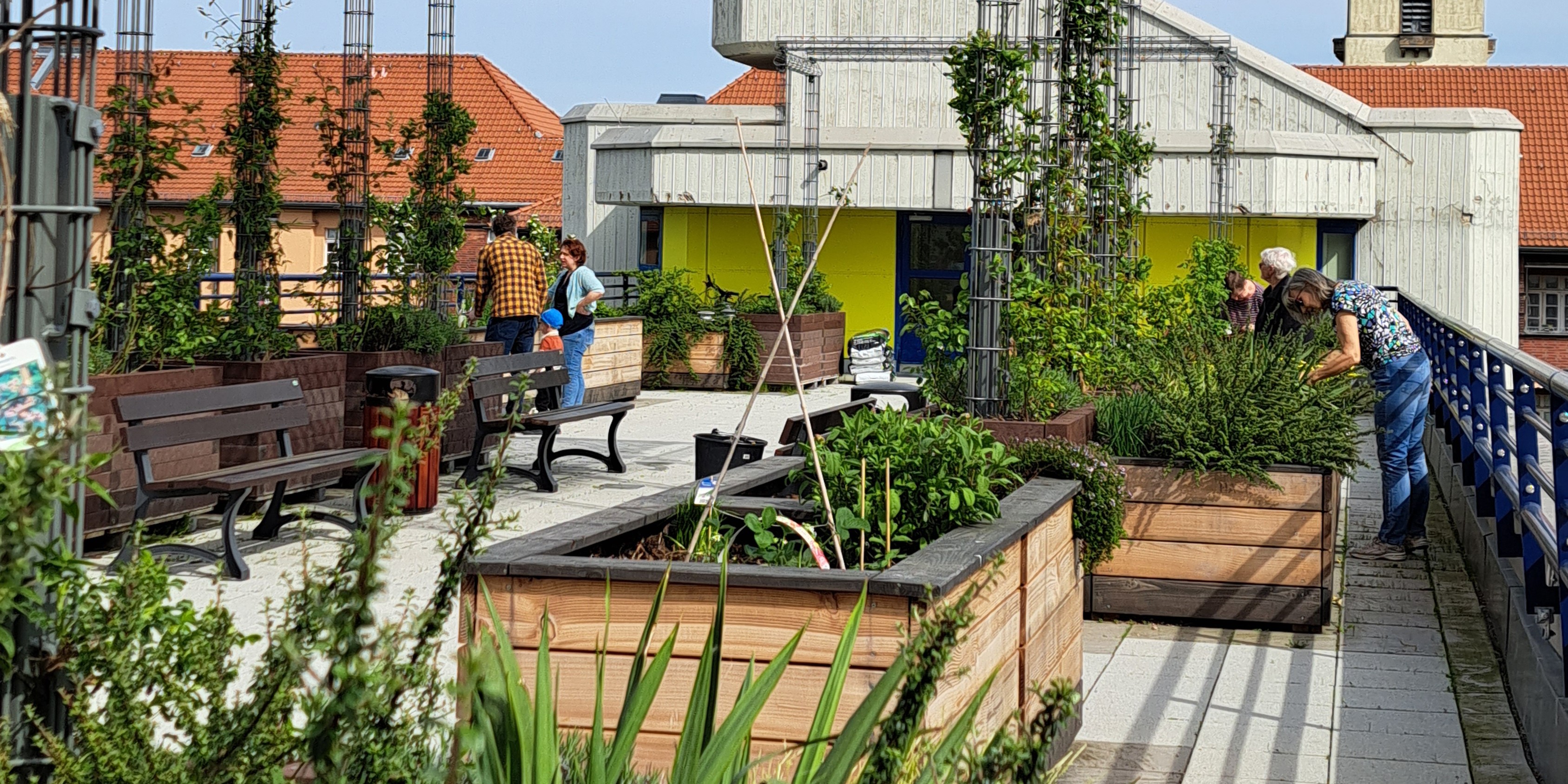 Gemeinschaftsgarten auf der Dachterrasse ©gruppeF