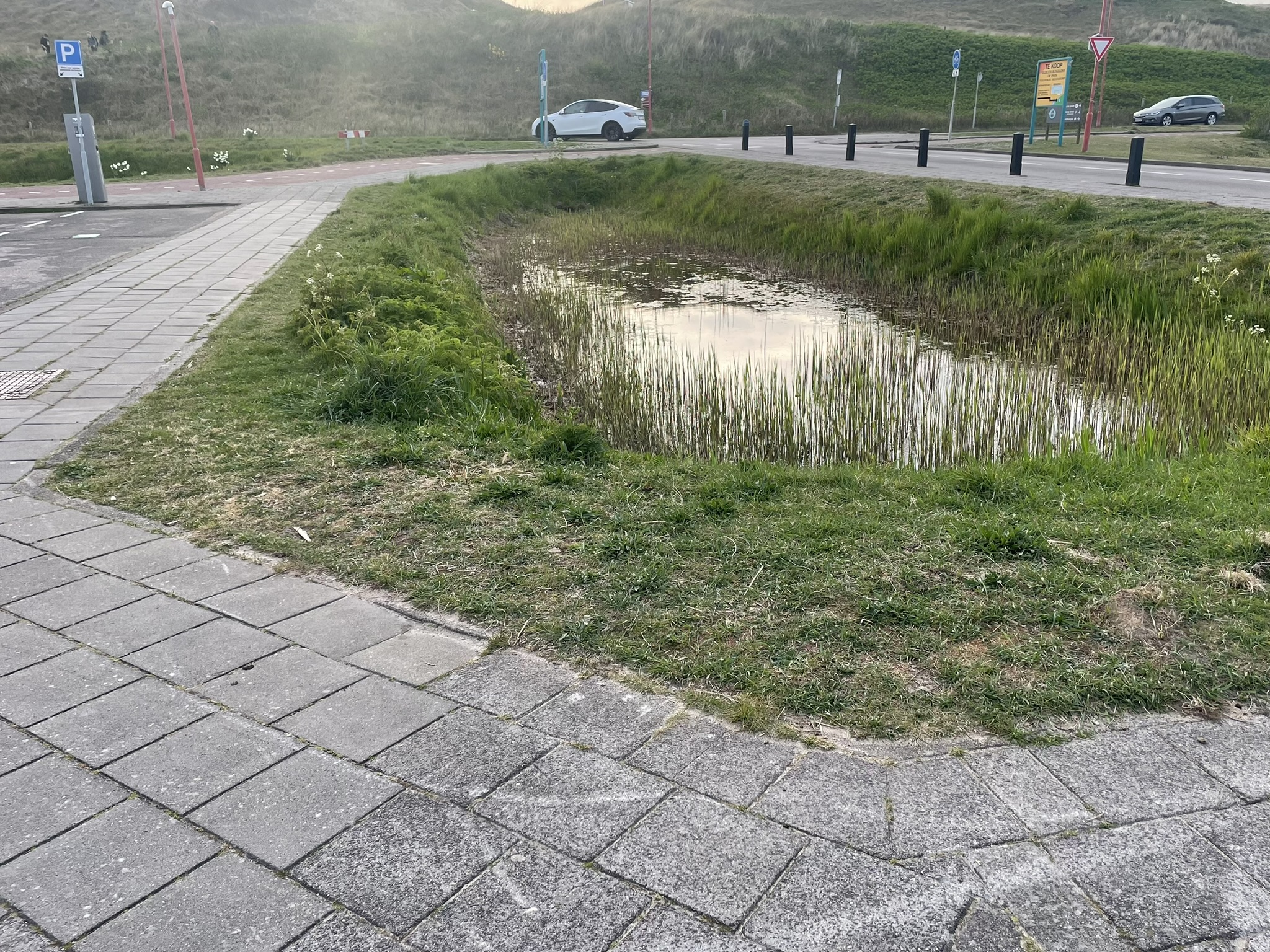  Versickerungsmulde am Parkplatz ©Ceren Tosun-Arnet